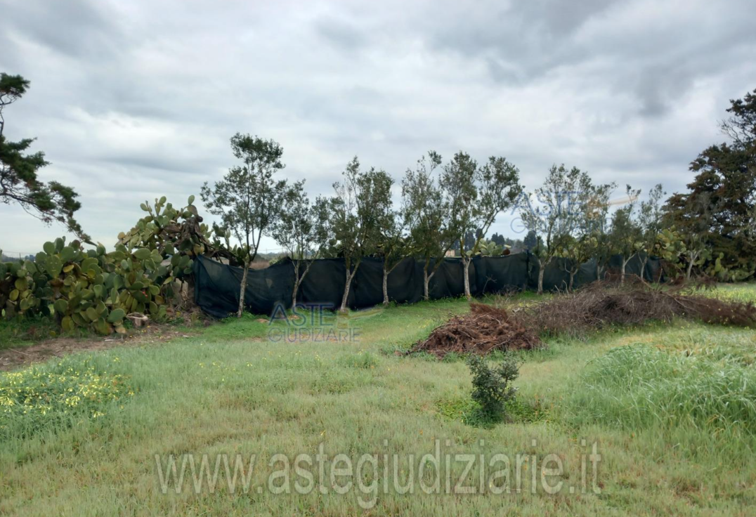 la casa e il giardino; nel N.C.T.  al Fg. 26